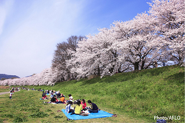 Hanami