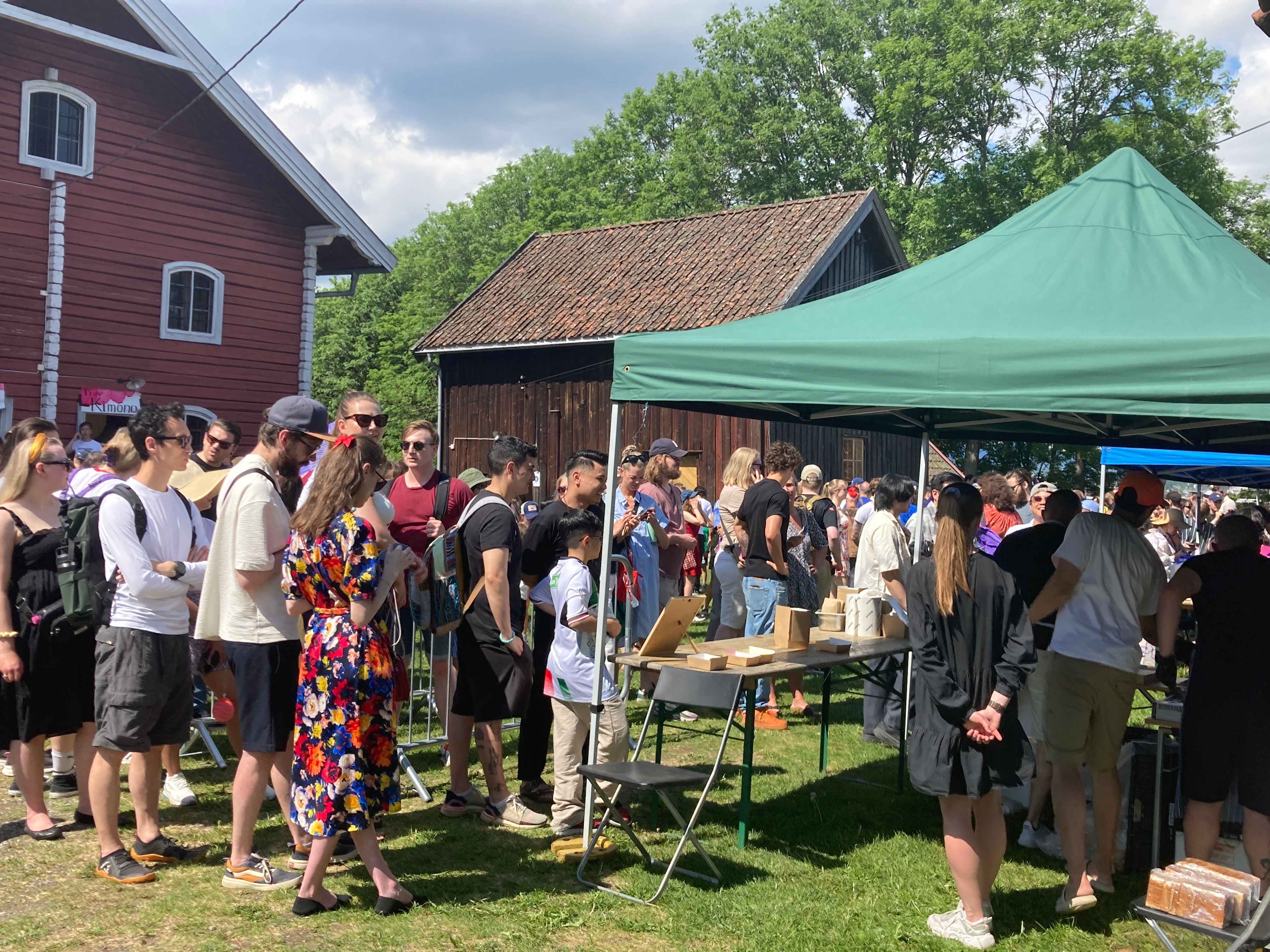 Festival crowd