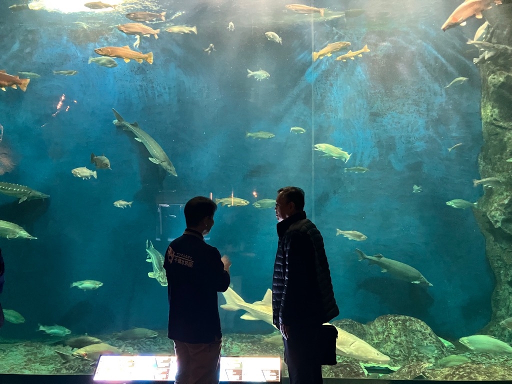 ケのふるさと千歳水族館